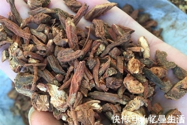 丹参|丹参和它一起煮,没事喝两口,化血栓,通血管,减轻肝脏负担