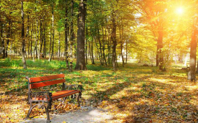 拿下|小伙子靠这诗打败26万首作品拿下大奖,仅24字,获北大教授点赞