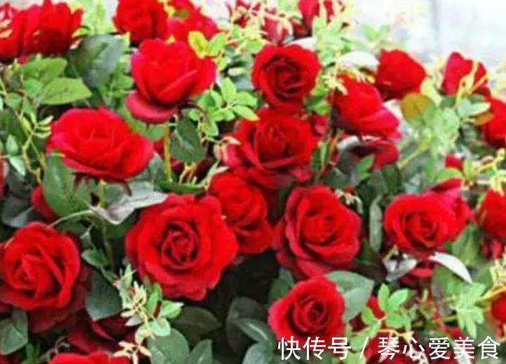 喜欢在家中养花,就养几种女神花,名字好听花更美,美出新天地