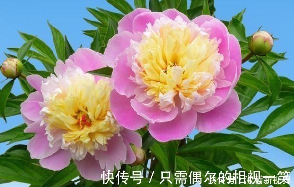 积阴德|俗话说人在做,天在看,多做4件积德事,晚年必将长寿又多福!