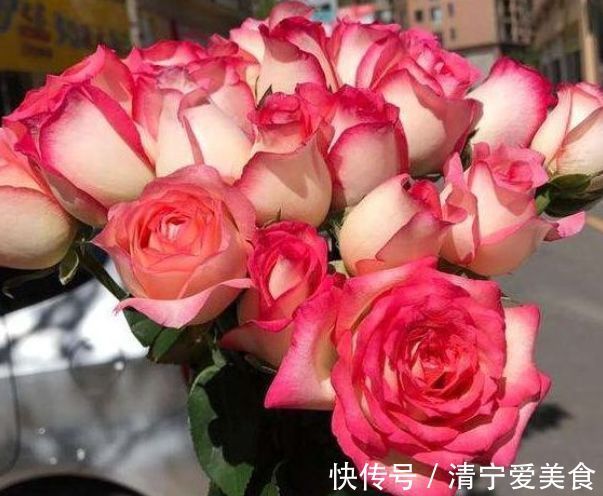 喜欢养菊，不如养“高档玫瑰”红羽，美艳如少女裙摆，灵动可爱