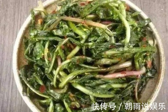 鸡蛋|夏天要吃这道野菜,加鸡蛋炒一炒,比肉还香,碰上别错过