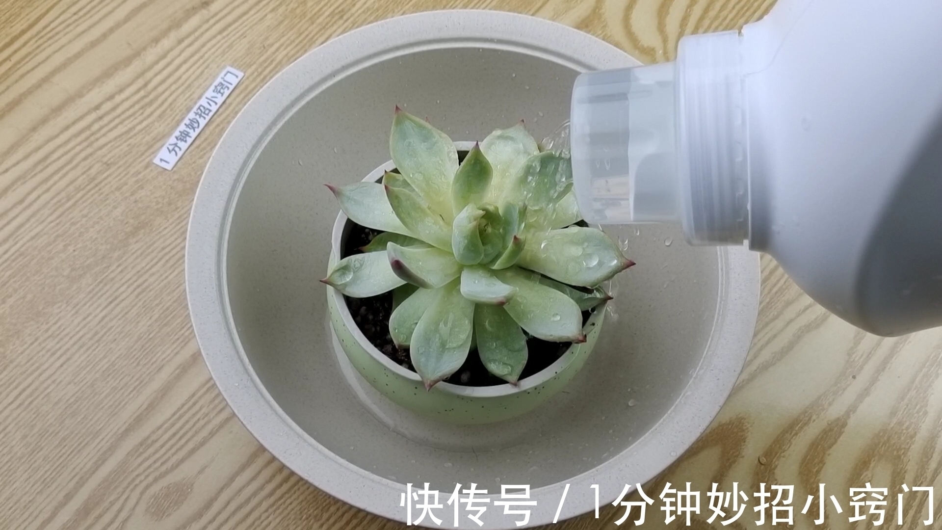 洗衣液的瓶子是个宝！放在厨房可以解决不少家庭的烦恼！太实用啦