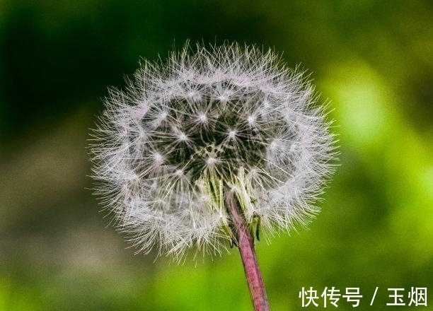 喜运|未来6天，情不散场，爱情回来，天降喜运，面朝暖阳，不离不弃