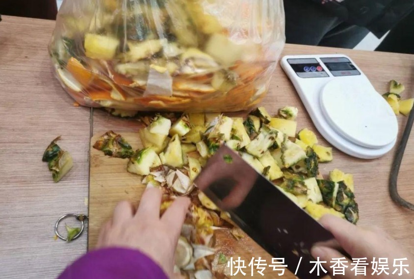 浇花|淘米洗菜水，全不如这种“水”，养花浇啥旺啥，还不用费钱