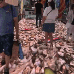 |搞笑GIF:太意外了,完全出乎我意料