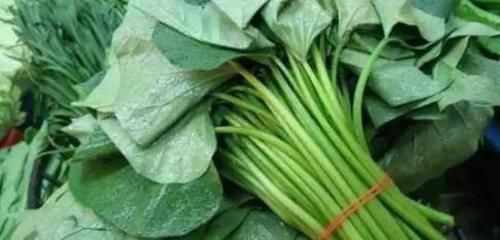 滋肝润肺|谁吃谁好的食物,推荐大家常吃,排毒养颜,滋肝润肺,改善体质