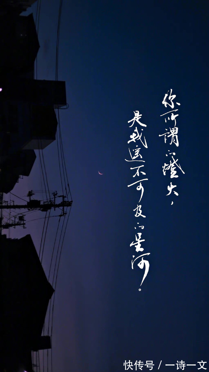 山百合&我是奔你而来,爱意自然汹涌