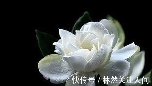 人生|做人,若是理不清这三种关系,人生会很苦