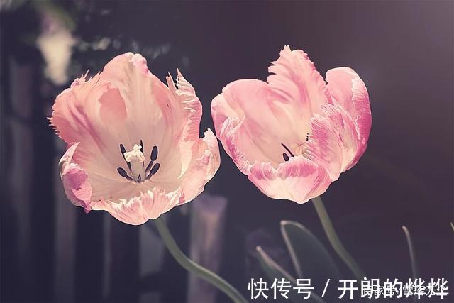 小兰|你之所以活得累，其实是“比”出来的