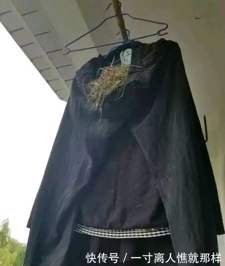 |搞笑图片幽默段子笑话:哈哈,现在的司机师傅头发很有个性啊