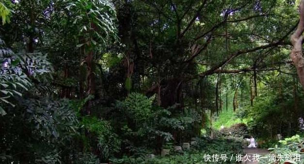 百越之地|皇帝活103岁,他的陵墓至今还未被找到,有一珍宝让人垂涎！