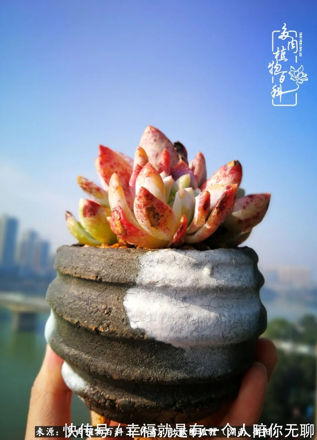 爱这一片缤纷的色彩，因为我们都是好色之徒！