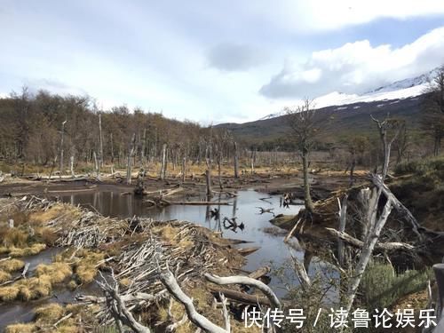 城市|被称为世界尽头的城市，纯净不受尘世污染，景色让人忍不住赞叹