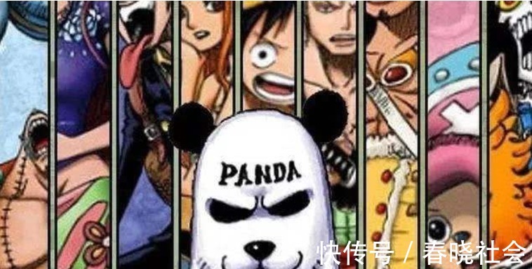 熊猫|海贼王重磅消息,官方暗示路飞四档熊猫形态,击败凯多指日可待