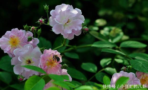 朋友关系|真正精明的人,从不轻易对人说4句话,难怪本事大福气足!