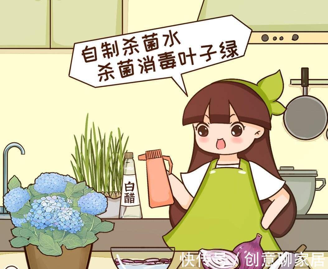 养花|自制养花杀菌水，一天喷一次效果好，安全无污染