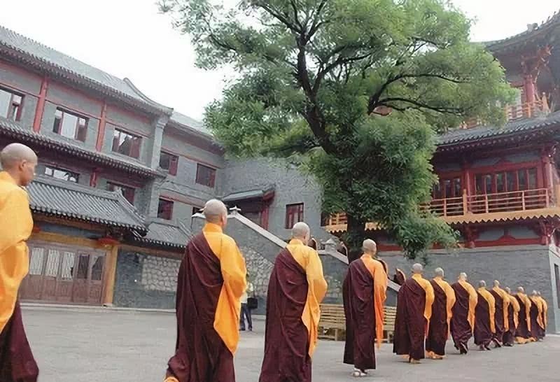 母亲|这所当年契丹人建的小寺庙,今天为何名气这么大?