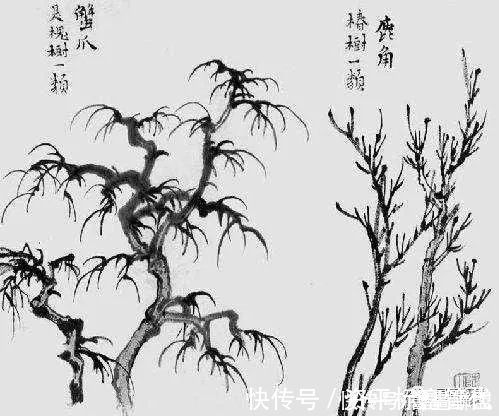 枝干@中国画如何画松树、丛树、柳树、竹林,中国画树的画法大全