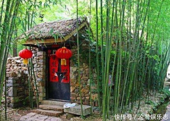 种树|“门前不栽竹,房后不栽树”,说的是啥为什么有这种说法