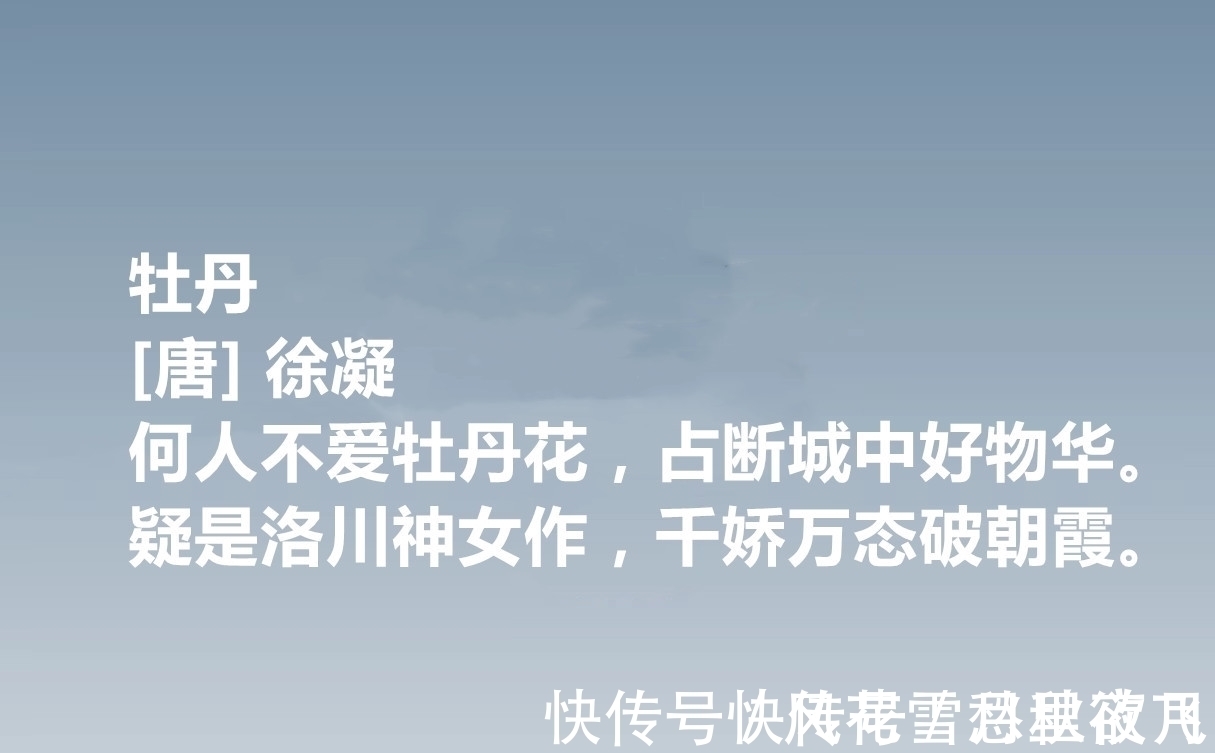 牡丹&唐朝低调诗人，徐凝十首诗作，牡丹诗登峰造极，七言绝句堪称高手
