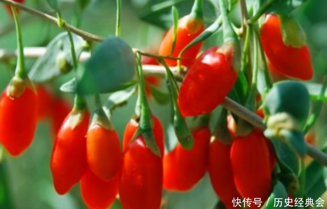 很有营养的3种食物,值得天天吃,排毒养颜、改善体质