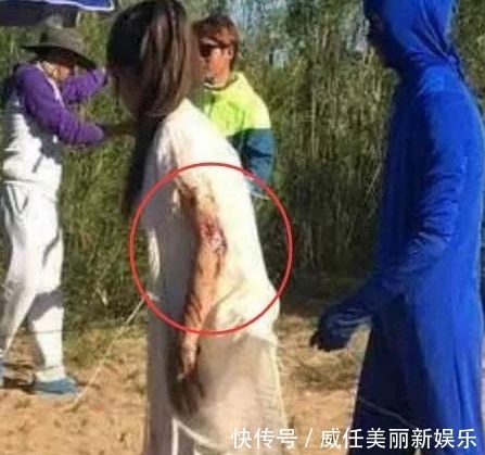 科班出身的含金量有多大,刘涛新综艺节目,揭开娱乐圈残酷真相