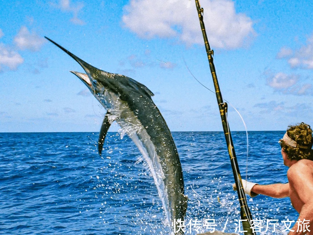 海南|新的一年避开疫情，去这个年平均25.7℃的温暖小城，又美又舒适！