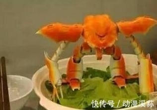 坦克|前有手工大佬用蟹壳拼机器人,今有日本网友用螃蟹设计坦克