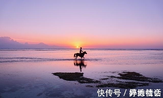 君子不器@庄子:真正卓越的人,都是“无用”之人,深谙“帝王”之道