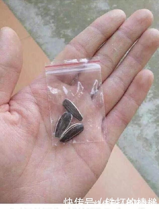 |买家秀和卖家秀的搞笑对比,笑哭客服人员。。