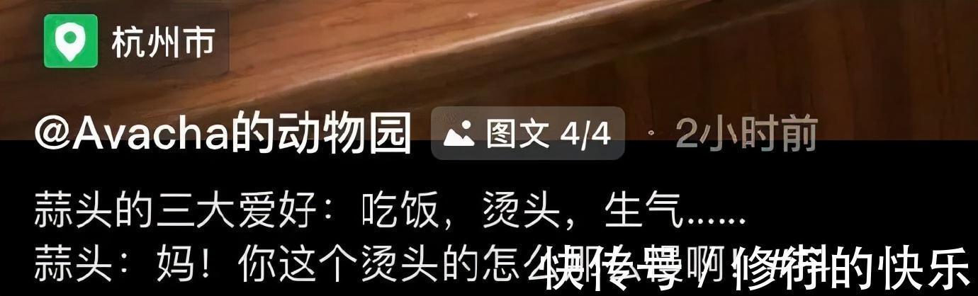 |冬至到底吃什么的终极答案 冷段子2018