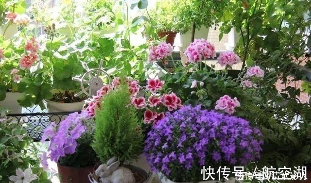 造园|7㎡迷你“阳台造园”小阳台这样布置,也能美成的花园!