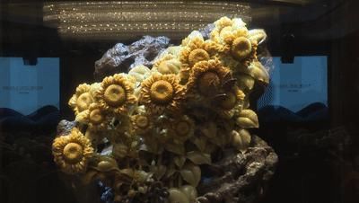  竞拍者|啪！这件青田石雕拍出208万元！