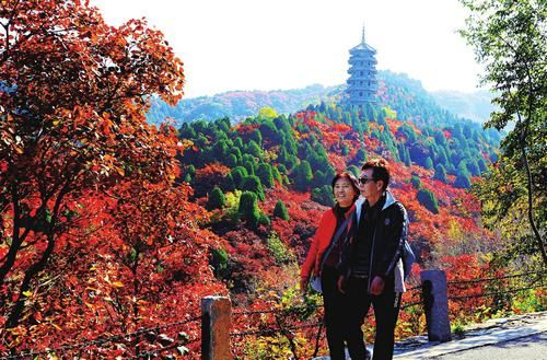 红叶节|红叶谷漫山红遍 景区倡导游客错峰出行