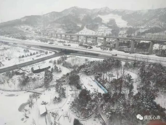 大雪纷飞的时候,也是码字的好时间,涂鸦“傲雪”十二首,以为念