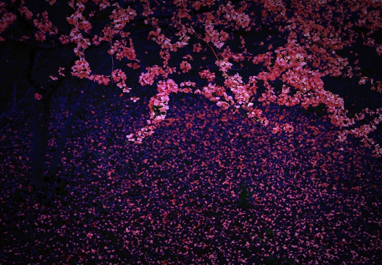 雨滴|一场春雨一场暖,春雨怎么拍才有味这些作品给你灵感