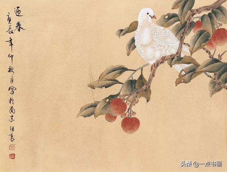 鸽子&喻继高笔下的鸽子，静雅秀丽