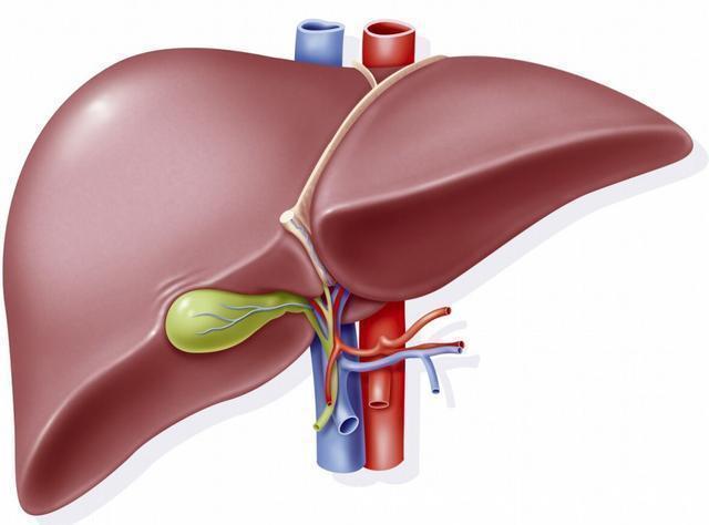 食物|转告家人:3种食物或是肝病“温床”,早点撤下餐桌,别再吃了