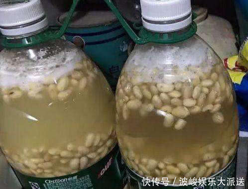 花都|家里养花,用“1种水”浇花,不用施肥也行,浇啥花都“疯长”