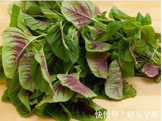 养血补血|农村这些野菜人见人爱,能消除疲劳,养血补血,不妨一试