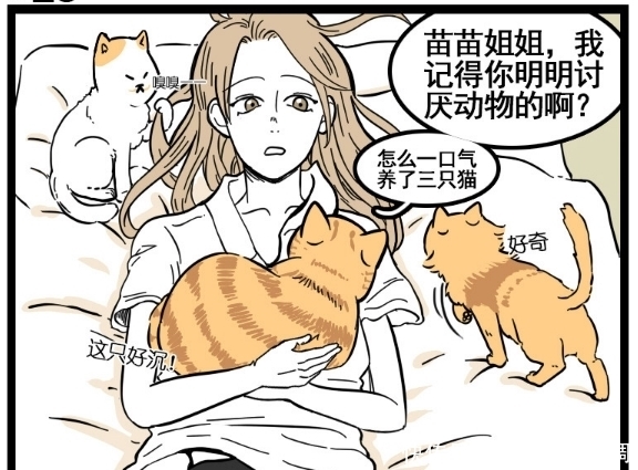 小悦|搞笑漫画：和大佬谈恋爱一点都不轻松？只有0.01公分就要碰上！