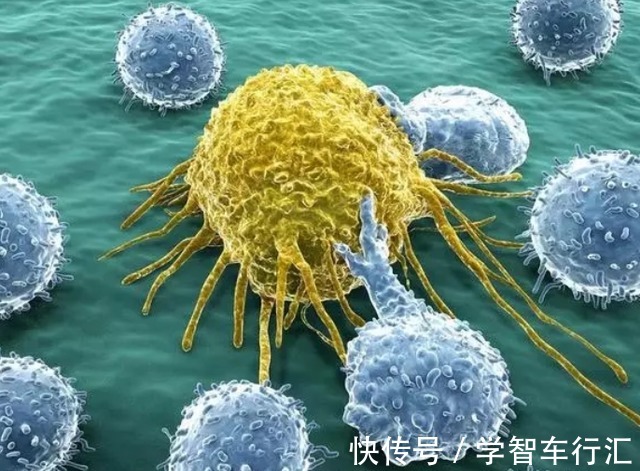 大蒜素|“癌细胞”害怕4种“碱性食物”,平时多吃点,有利于身体健康