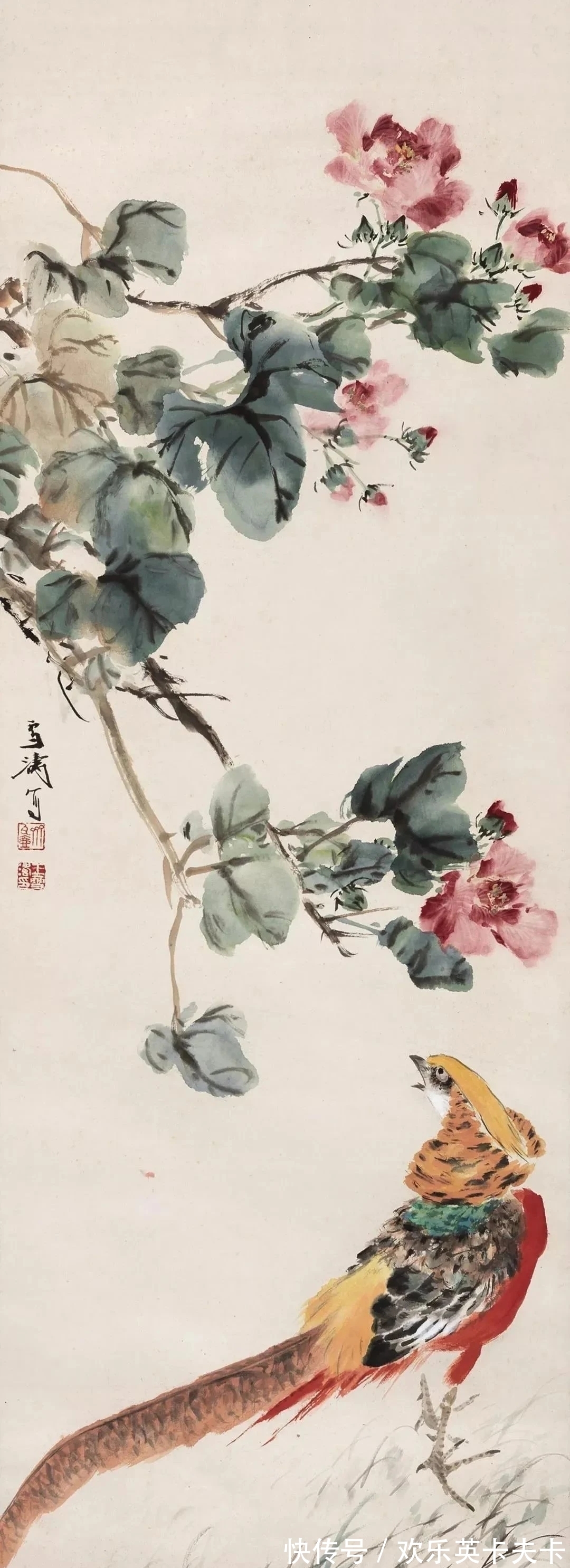 花鸟画!清俊靓丽|最具辨析度的中国画,王雪涛花鸟画