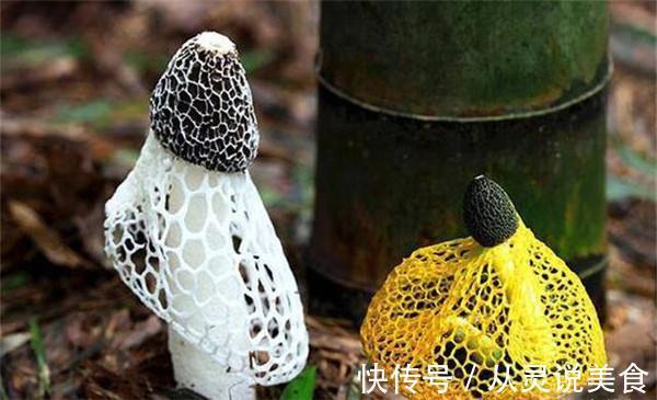 食用菌|它被列为“人类最佳饮食结构”,增肌护心脑!这样吃,养出好体魄