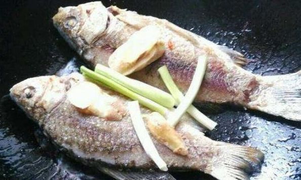 炖鱼汤|煎鱼时先不要倒油,多做这一步,煎出来的鱼才能又香又好吃