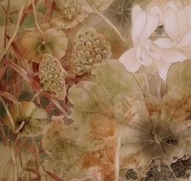 恬淡@佚名荷,画感细腻,笔墨朴素恬淡,真乃与自然对话