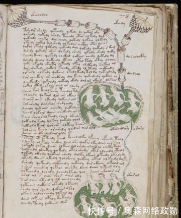 metro$这本“天书”600年来无人能解,如今终于看见了希望