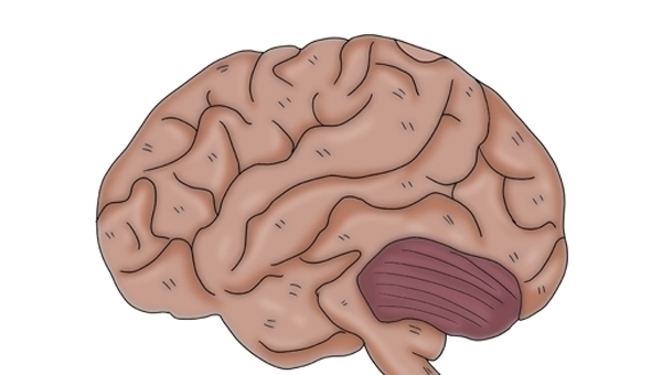 能量|癌症患者，突然吃得好，睡得香，说明病情在好转吗？告诉你答案