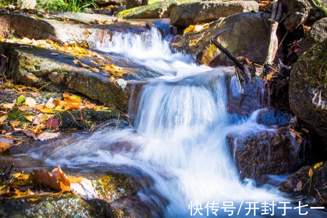 秋天|白云山初秋美景已上线…夏天所有的遗憾，都是秋天惊喜的铺垫